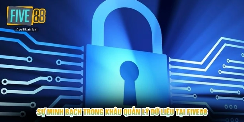 Sự minh bạch trong khâu quản lý dữ liệu tại FIVE88
